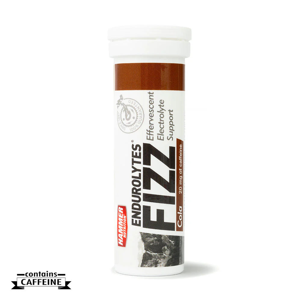 Hammer Endurolytes Fizz (13 Serv.)