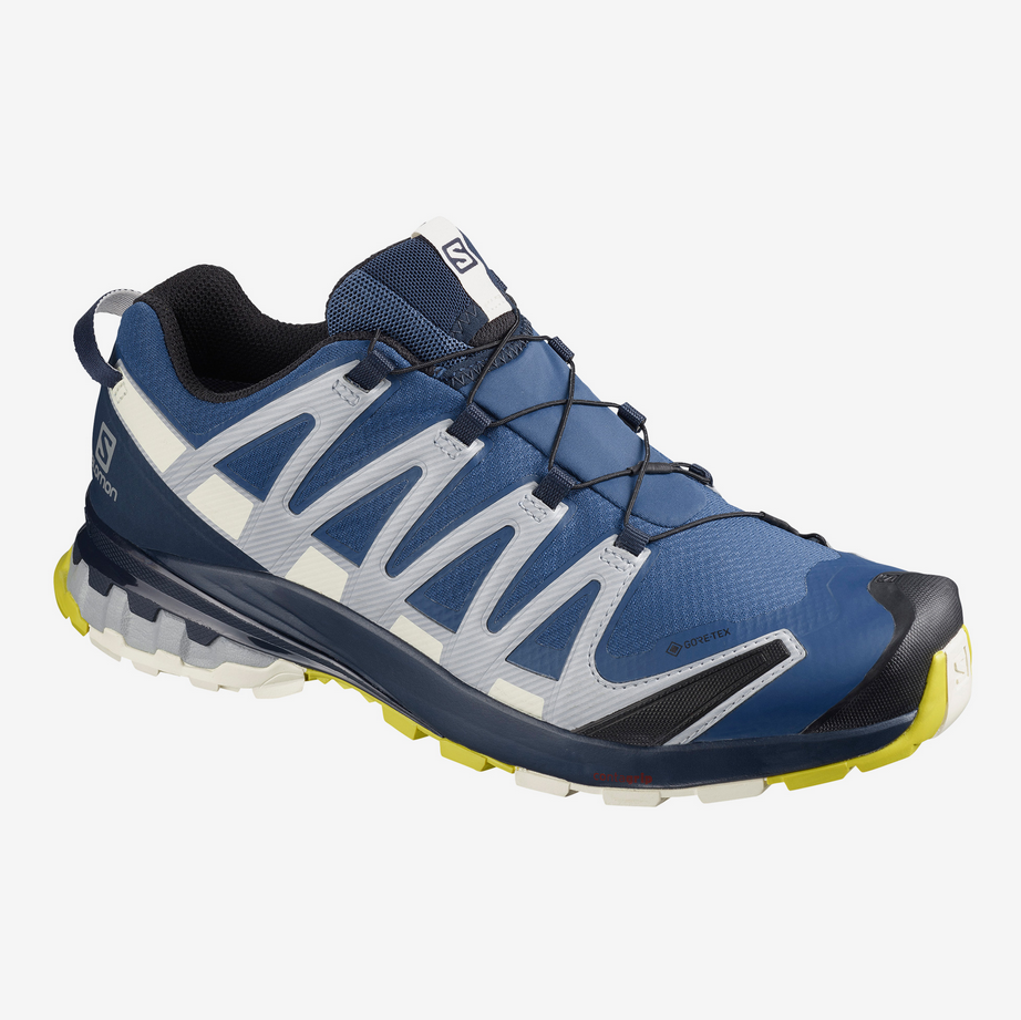 SALOMON Men s XA PRO 3D V8 GTX Trailblazer