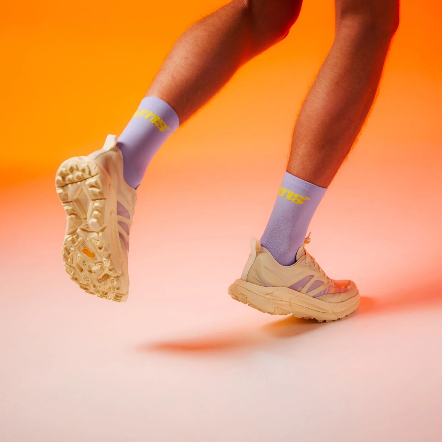 Sums All Seasons Socks