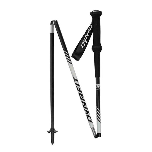 DYNAFIT ALPINE PRO POLE