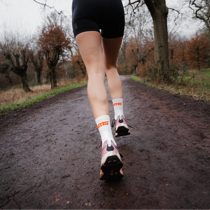 Sums All Seasons Socks