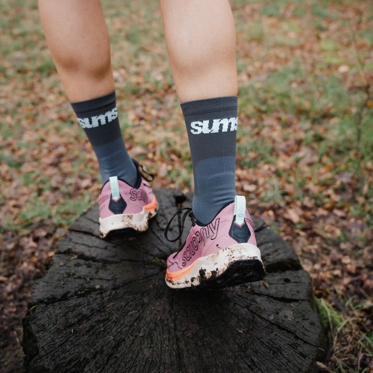 Sums All Seasons Socks