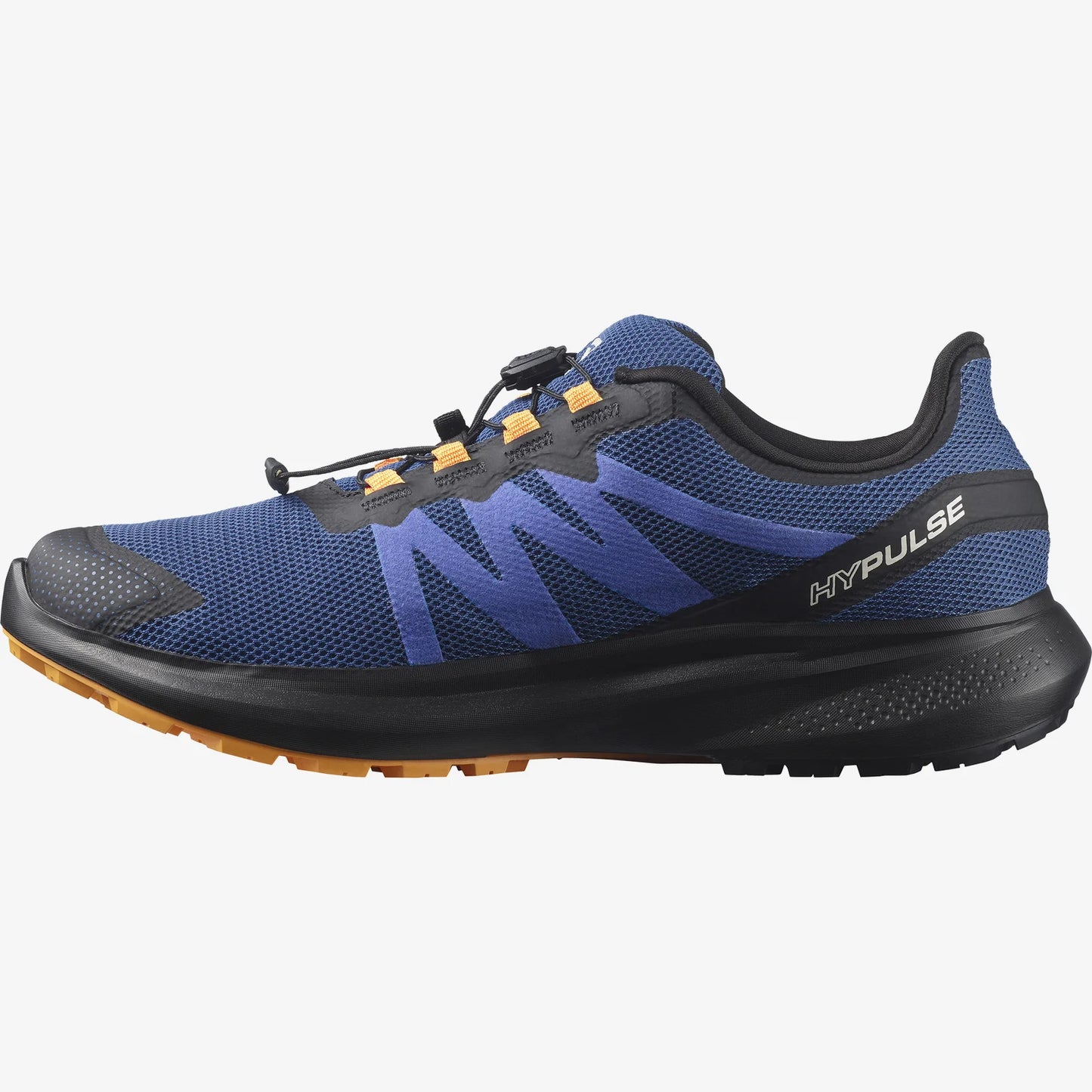 SALOMON Men's HYPULSE GTX