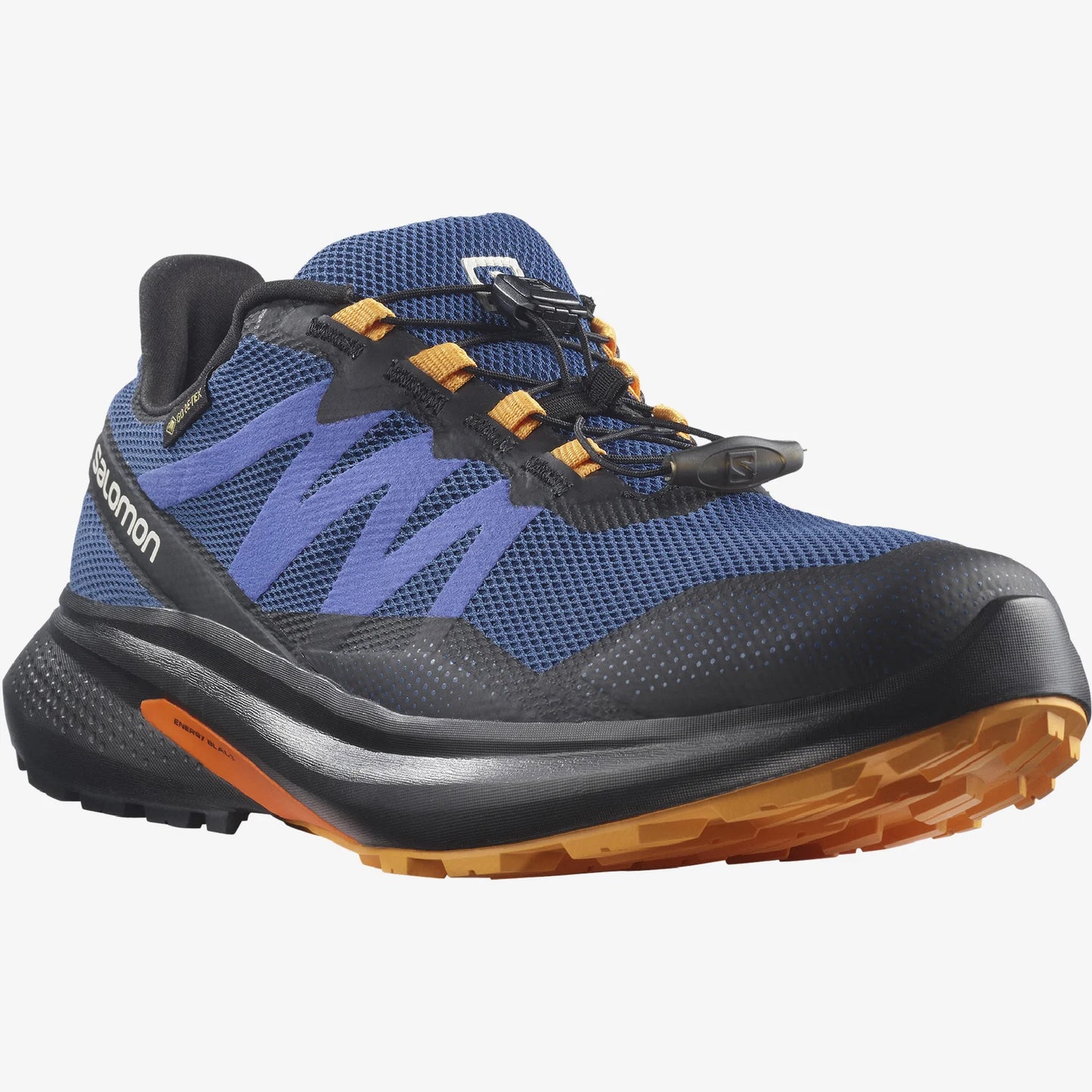 SALOMON Men's HYPULSE GTX