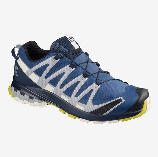 SALOMON Men's XA PRO 3D V8 GTX